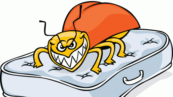 Bed-bug-cartoon