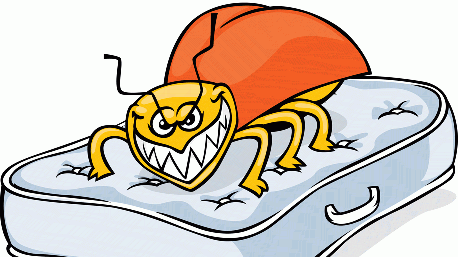 Analysis: Bed bugs on board – Business Traveller