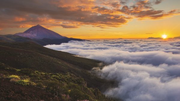 Teide volcano national park – Credit MikeMareen/iStock