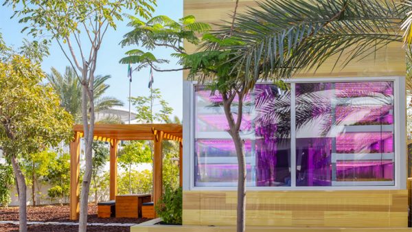 Jumeirah at Saadiyat Island Resort installs hydroponic farm (Image: Supplied by Jumeirah Hotels and Resorts)