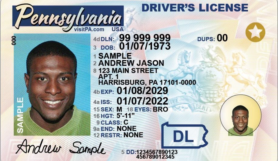 The Decline of the Driver's License - The Atlantic